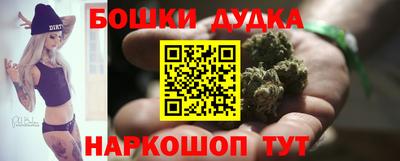 индика Ростов Великий